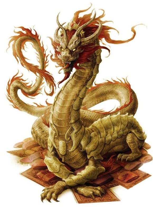 Dragon Oriental Roi Mjestueux