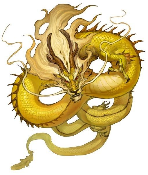 Dragon Oriental Doré Sur Fond Blanc
