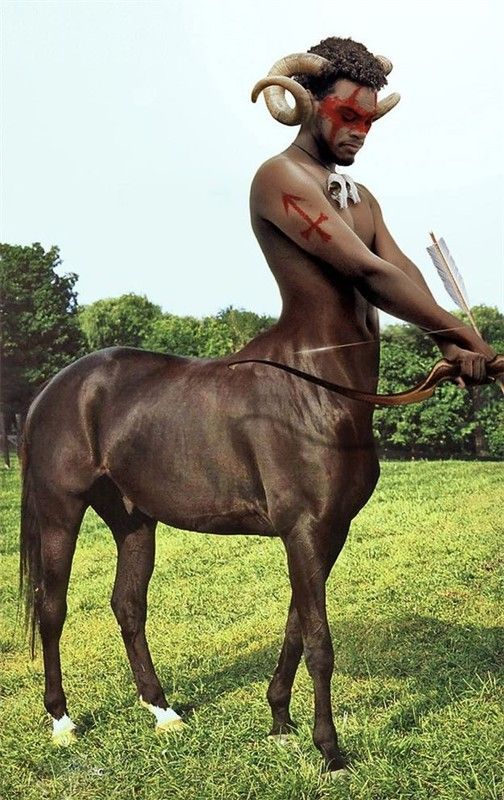 Centaure Africain Archer Bicorne