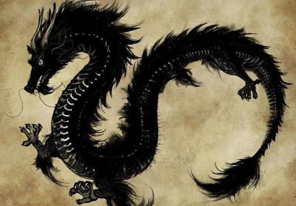 Dragon Oriental Noir Dessiné