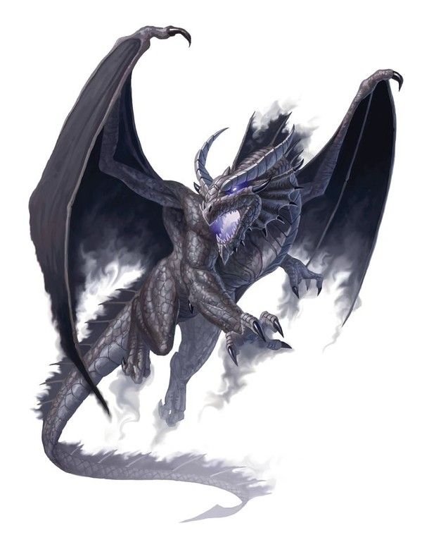 Dragon Brume Noire