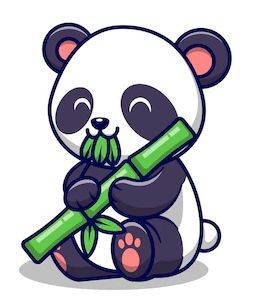 Panda Mangeant Bambou