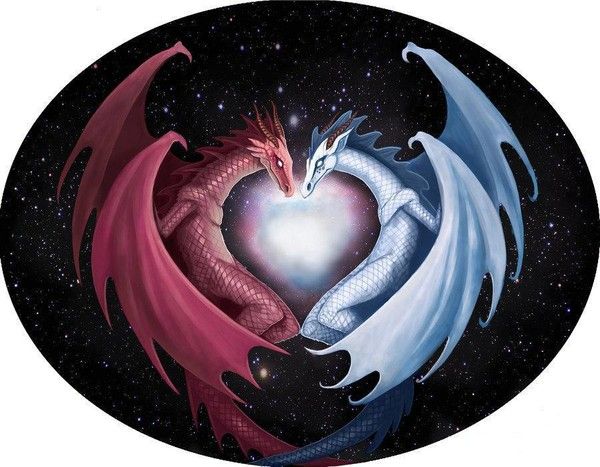 Dragons Coeur Rouge & Blanc Galaxie