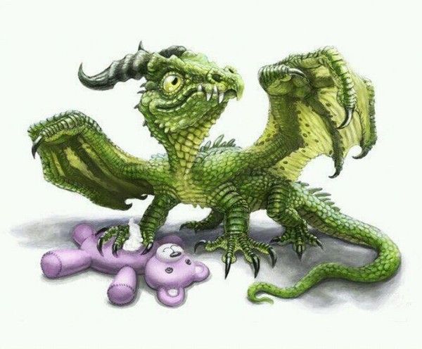Dragonnet Vert Jouant Avec Une Peluche