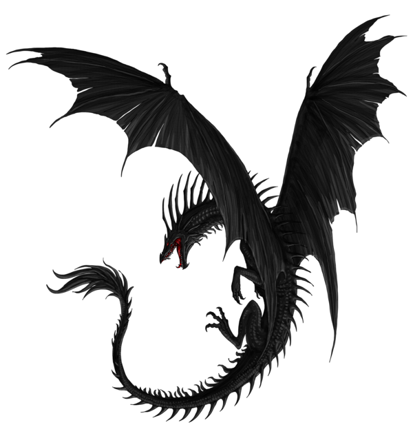 Dragon Noir Sur Fond Blanc
