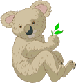 Koala Feuilles Eucalyptus