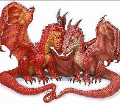 Couple De Dragons Rouge & Rose