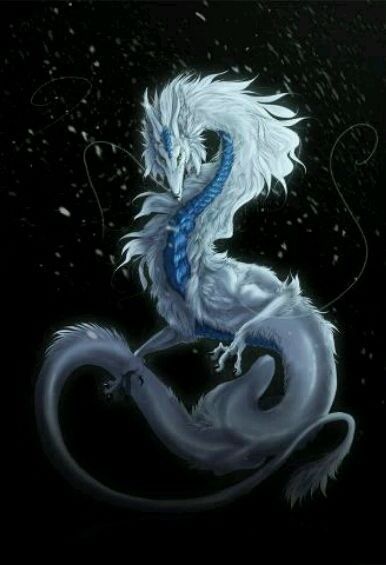 Dragon Oriental Bleu Blanc Sur Fond Noir
