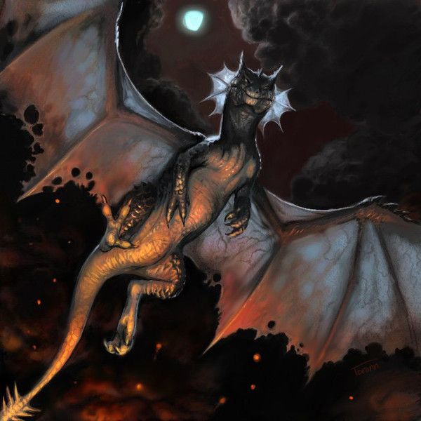 Dragon Noir Vu De Dessous