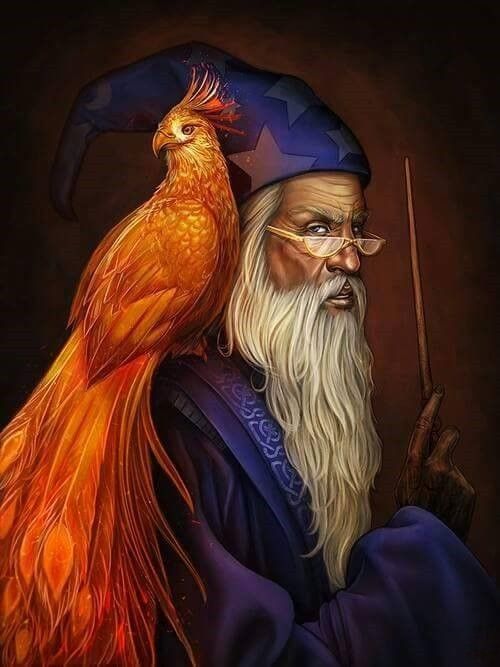 Magicien & Son Phoenix 
