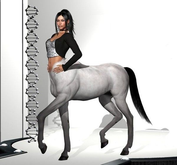 Centauresse 3D Top Model