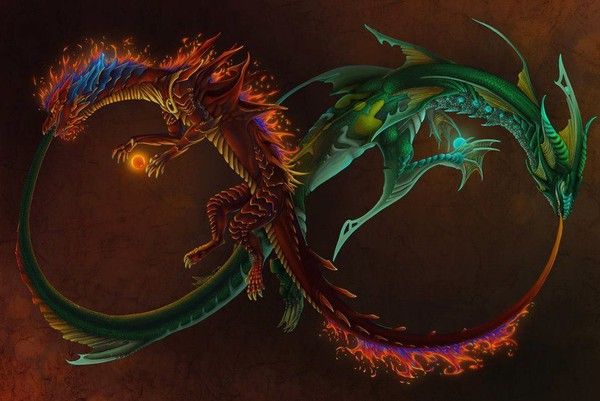 Dragons Symbole De L'infini