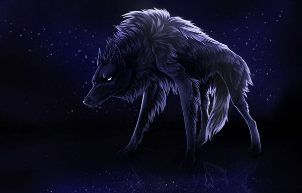Loup Noir Galactique Reflet 