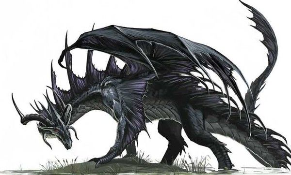 Dragon Noir Des Marais