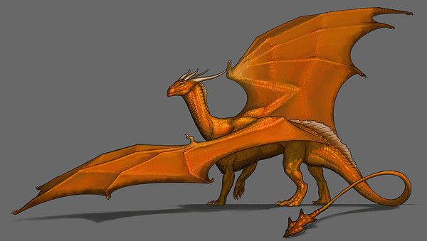 Dragon Orange Sur Fond Gris