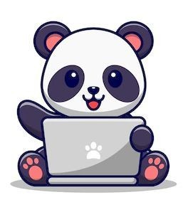 Panda sur Ordinateur Portable