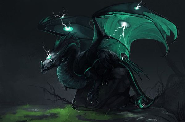 Dragon Noir De La Foudre & Du Poison