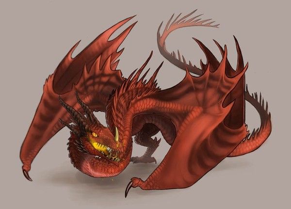 Dragon Rouge Sur Fond Gris
