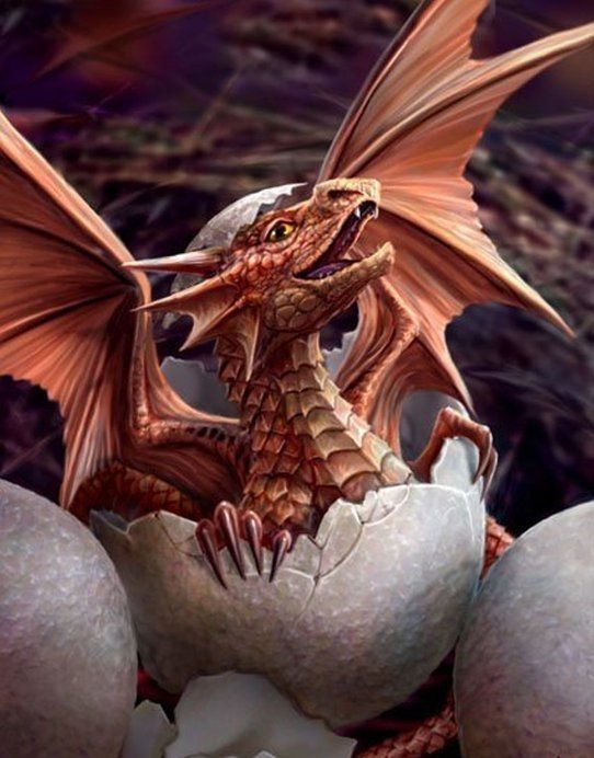 Naissance D'un Dragonnet Rouge Saumon