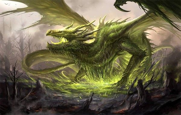 Dragon Vert Poison