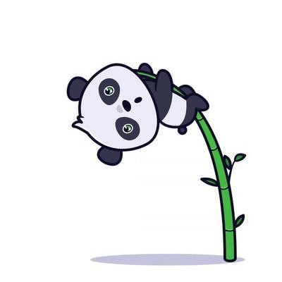 Panda Escaladant un Bambou