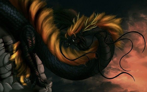 Dragon Oriental Noir Doré