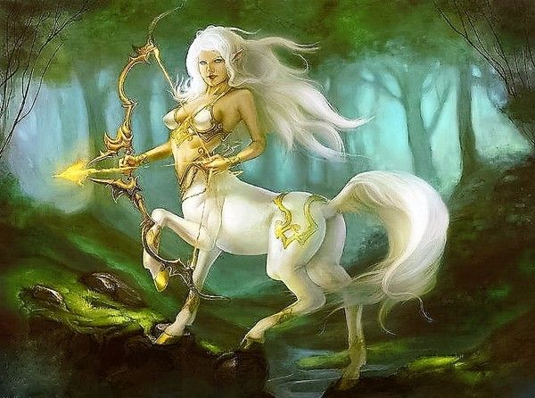 Centauresse Blanche & Or Arc D'or