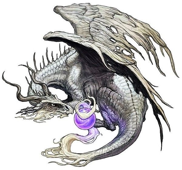 Vieux Dragon Blanc Gardien D'une Orbe Violette