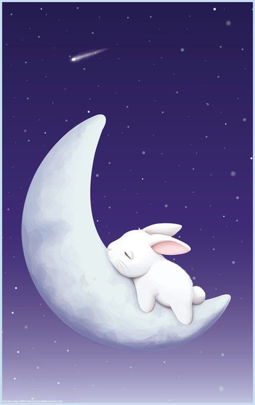 Lapin Blanc Endormi Sur la Lune