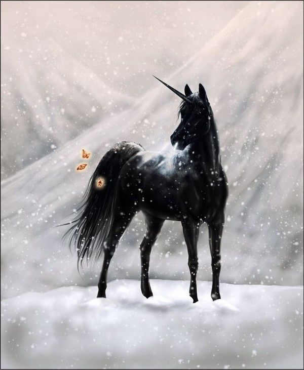 Licorne Noire Dans 1 Tempête De Neige