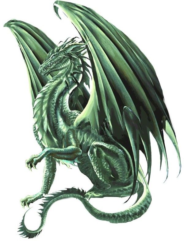 Dragon Vert Majestueux