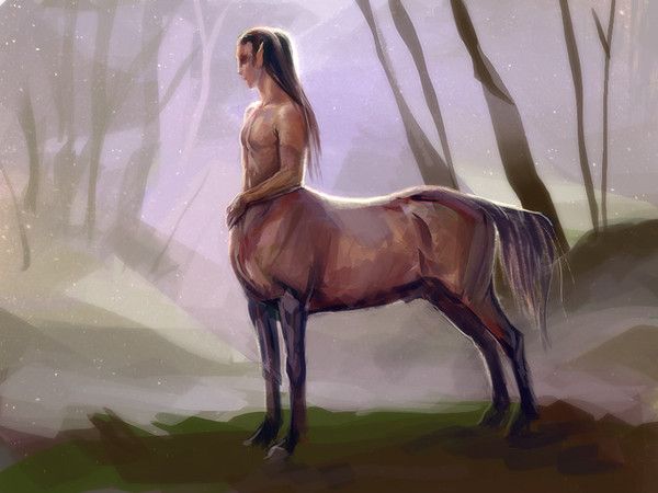 Centaure Bai Dans 1 Forêt Brumeuse