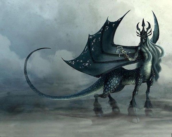 Centaure Dragon