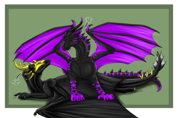 Couple De Dragons Noir Violet & Noir Jaune