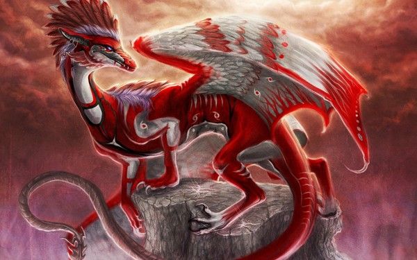 Dragon Rouge Blanc Avec Des Plumes