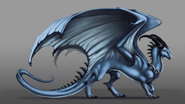 Dragon Bleu Argent Sur Fond Gris