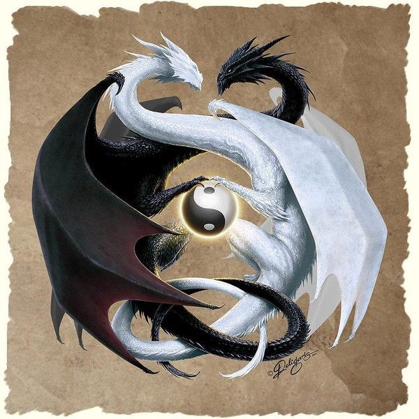 Dragons Yin Yang Noir & Blanc Entrelacés