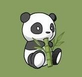 Panda Mangeant 1 Pousse De Bambou Sur Fond Vert