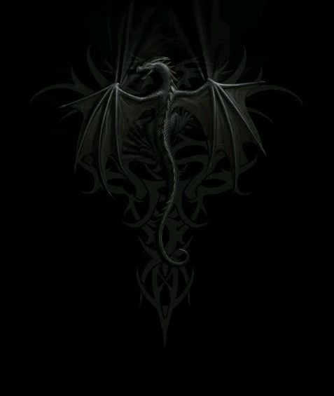 Dragon Noir Symbole Tribal Sur Fond Noir