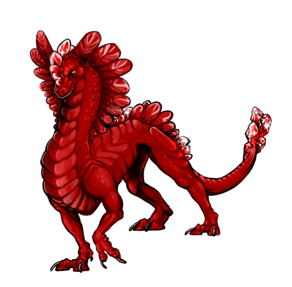 Dragon Rubis Sans Ailes
