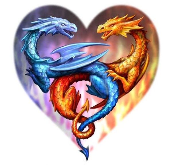 Dragons Coeur Glace & Feu