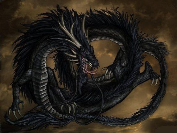 Dragon Oriental Noir Sur Fond Sombre