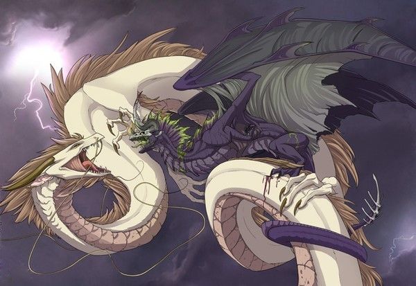 Combat De Dragons Manga Blanc contre Noir