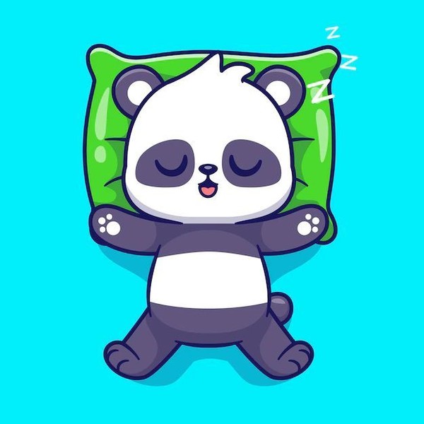Panda Endormi