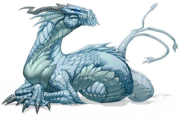 Dragon Blanc Sans Ailes