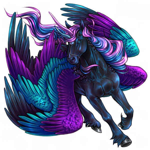 Unisus Noir Violet Turquoise