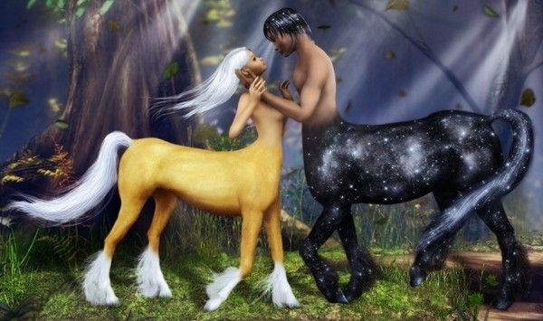 Couple De Centaures 3D Elle Palomino Lui Noir Galaxie