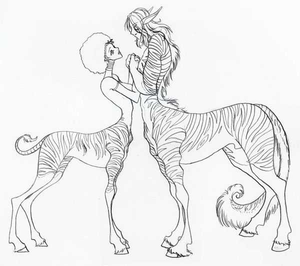 Couple De Centaures Zèbres Dessinés