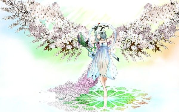 Ange Manga Ailes Fleurs De Cerisier