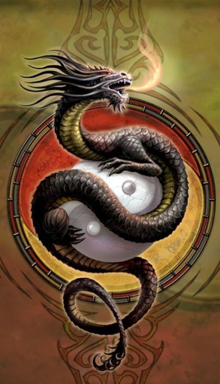 Dragon Oriental Yin Yang Noir